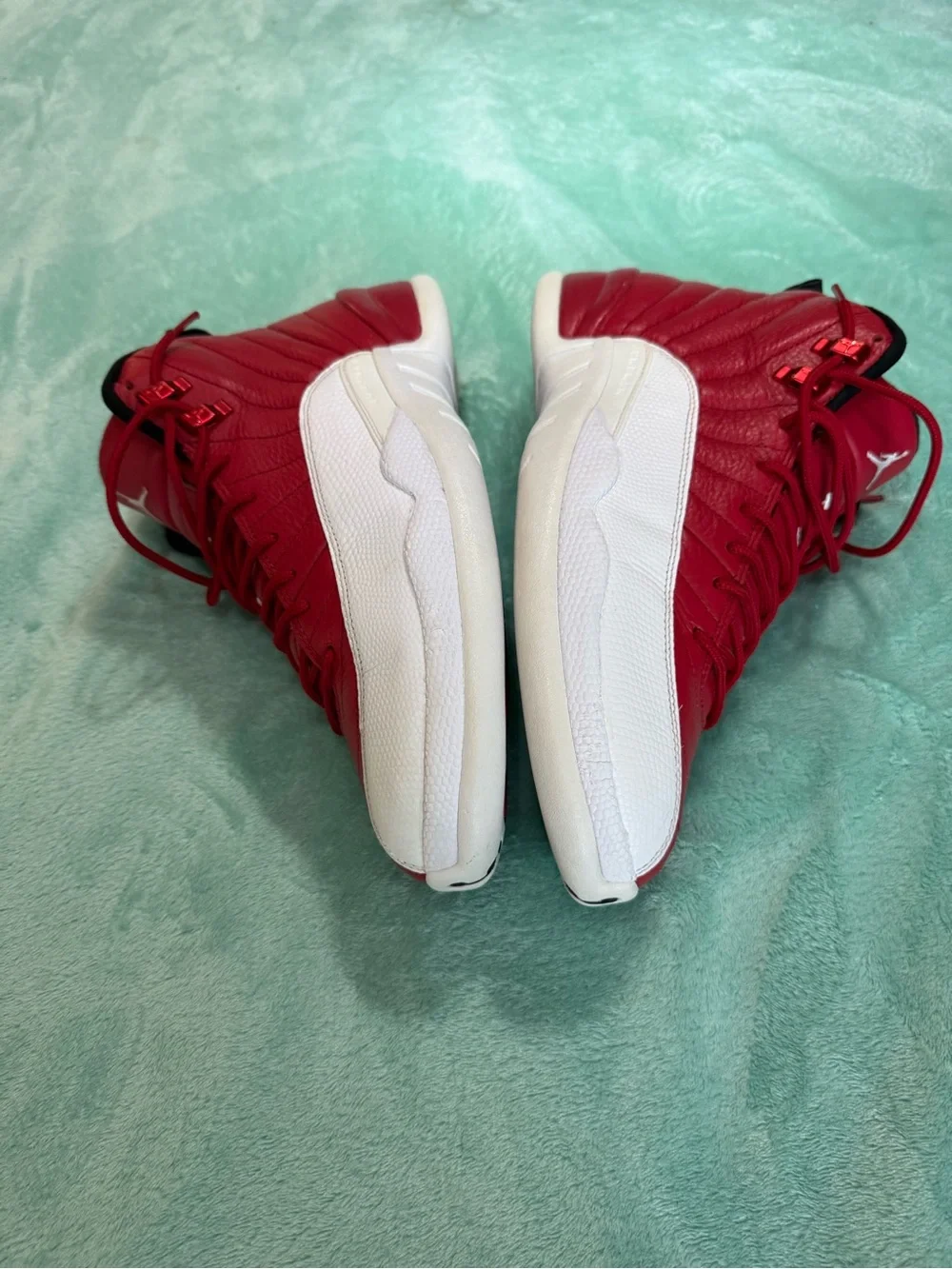 Air Jordan 12 Retro 